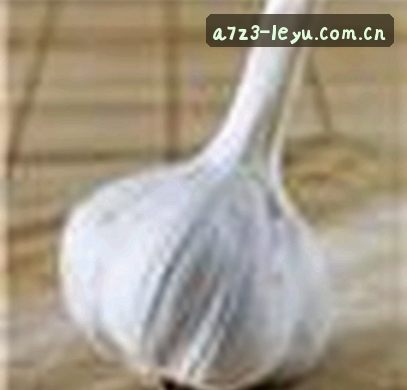 黄磊